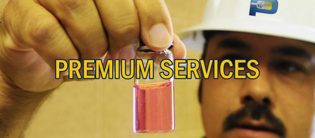 Premium Generator Services by P3